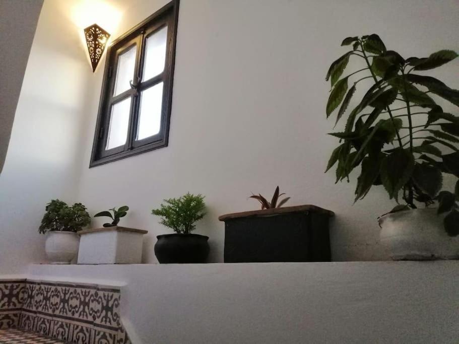 Charmant Riad Pour Familles Ou Groupes - Dar Mama Essaouira Exterior photo